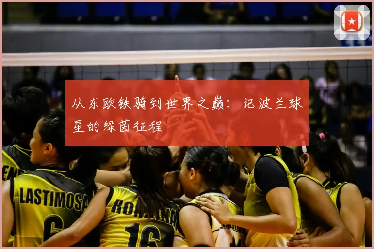 从东欧铁骑到世界之巅:记波兰球星的绿茵征程