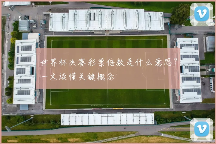 世界杯决赛彩票倍数是什么意思?一文读懂关键概念