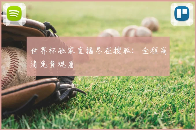 世界杯独家直播尽在搜狐:全程高清免费观看