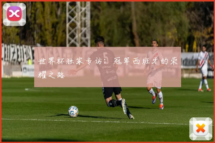 世界杯独家专访:冠军西班牙的荣耀之路