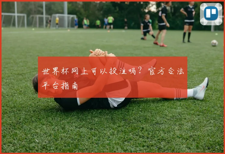 世界杯网上可以投注吗?官方合法平台指南