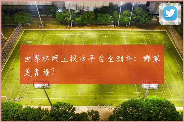 世界杯网上投注平台全测评:哪家更靠谱?
