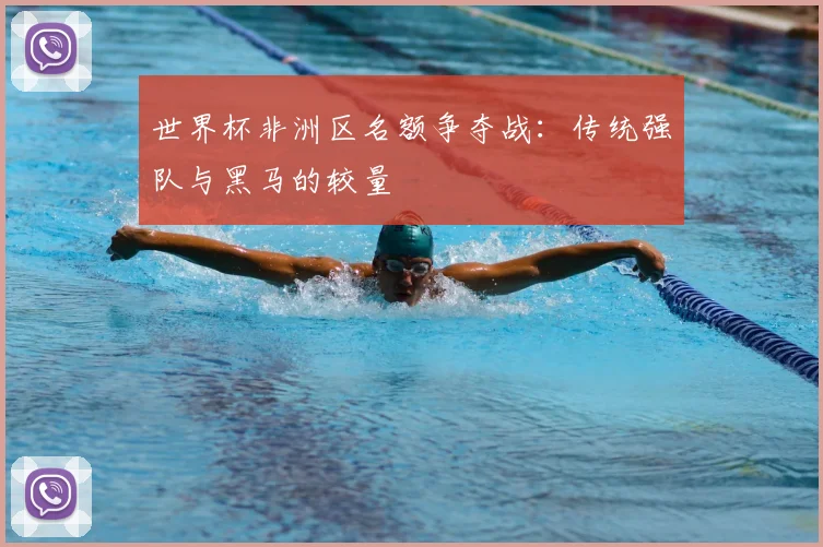 世界杯非洲区名额争夺战：传统强队与黑马的较量