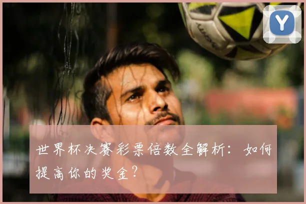 世界杯决赛彩票倍数全解析：如何提高你的奖金？