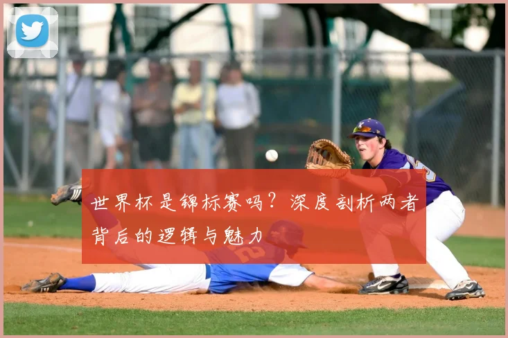 世界杯是锦标赛吗?深度剖析两者背后的逻辑与魅力