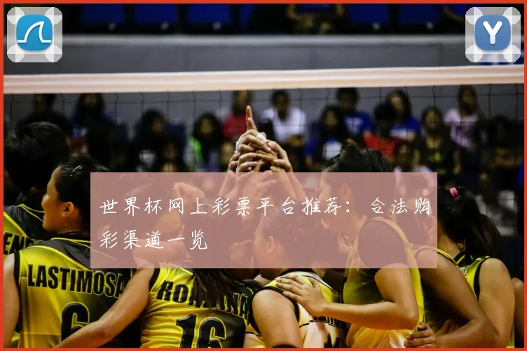 世界杯网上彩票平台推荐:合法购彩渠道一览