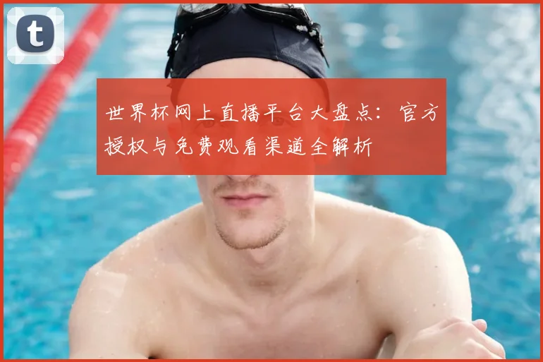 世界杯网上直播平台大盘点:官方授权与免费观看渠道全解析