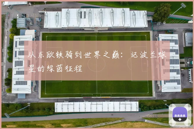 从东欧铁骑到世界之巅:记波兰球星的绿茵征程