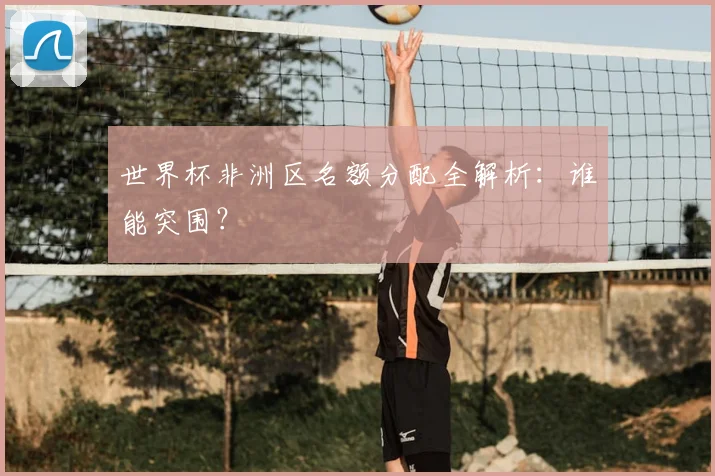 世界杯非洲区名额分配全解析：谁能突围？