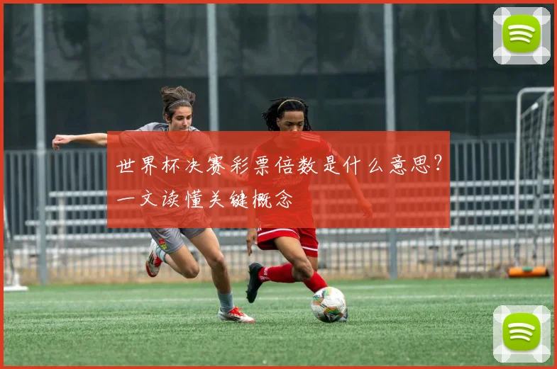 世界杯决赛彩票倍数是什么意思?一文读懂关键概念