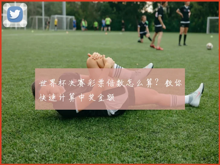 世界杯决赛彩票倍数怎么算?教你快速计算中奖金额