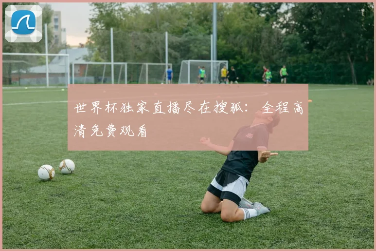 世界杯独家直播尽在搜狐:全程高清免费观看
