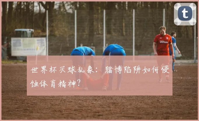 世界杯买球乱象：赌博陷阱如何侵蚀体育精神？