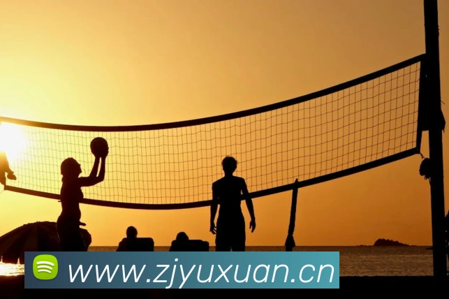 必一体育sport官网平台生态图